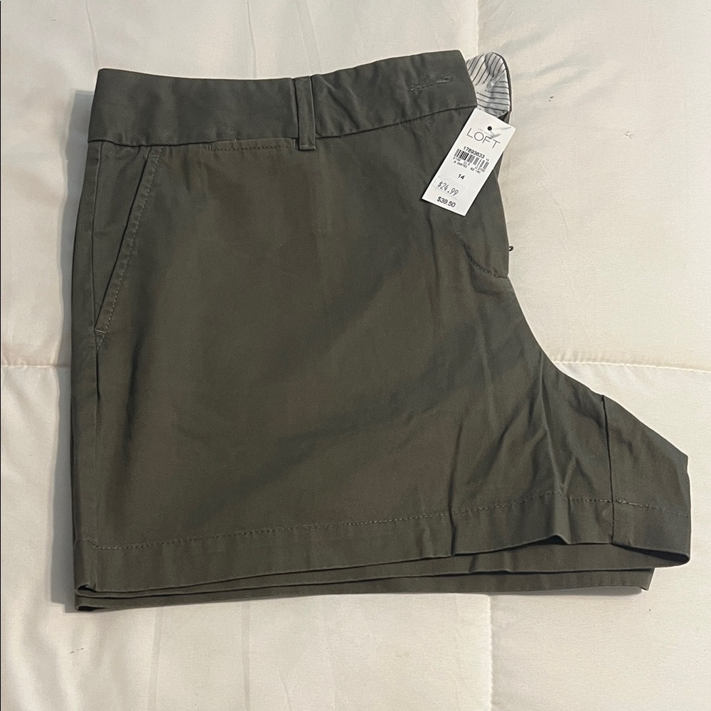 NWT LOFT Women's Dark Green “The Riviera” Shorts